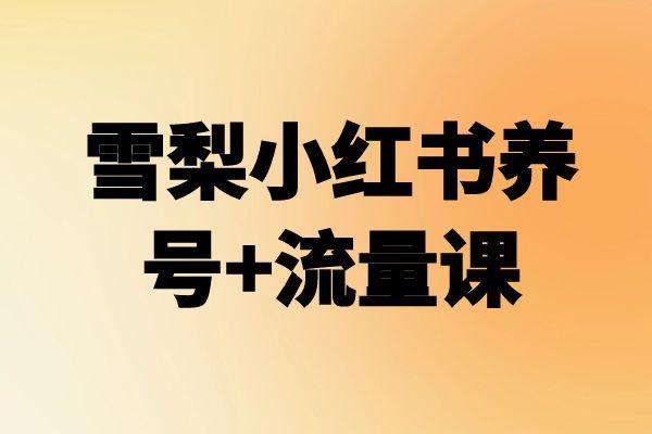 小红书5天多款打爆全流程|宝妈创业网