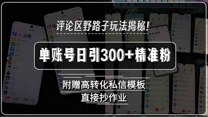 （15466期）评论区野路子玩法揭秘！单账号日引300+精准粉，附赠高转化私信模板，直…|宝妈创业网