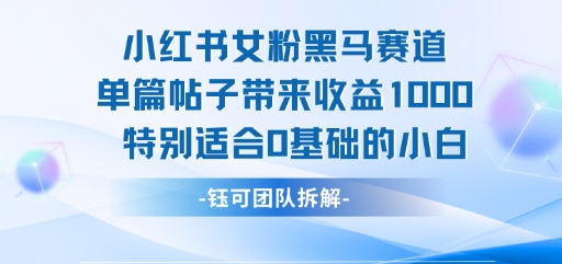 小红书女粉黑马赛道单篇帖子带来收益1k+，特别适合0基础的小白|宝妈创业网