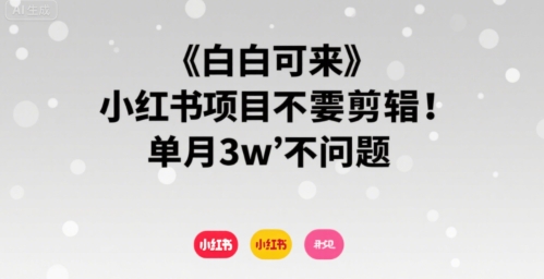 小白可来 小红书项目不需要剪辑 单月3w不是问题|宝妈创业网