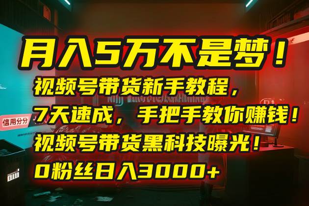 （15595期）月入5万不是梦！视频号带货新手教程，7天速成，手把手教你赚钱！视频号…|宝妈创业网