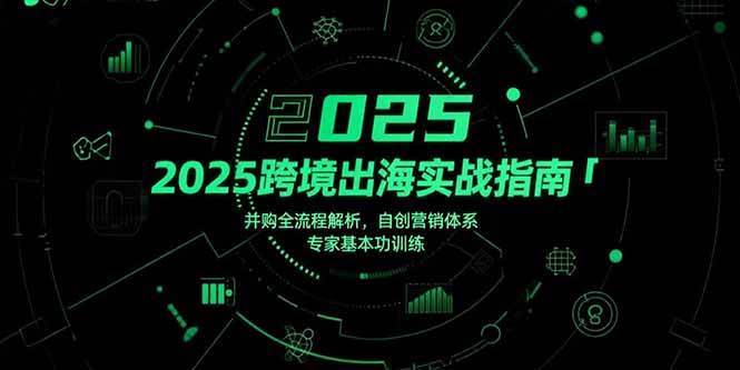 （15503期）2025跨境出海实战指南，并购全流程解析，自创营销体系，专家基本功训练|宝妈创业网
