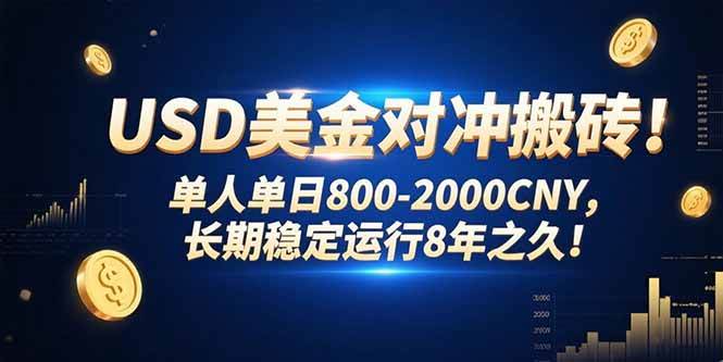 （15551期）USD美金对冲搬砖!单人单日800-2000CNY，长期稳定运行8年之久!|宝妈创业网