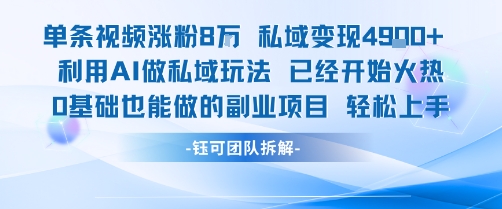 单条视频私域变现4.9k+利用AI做私域玩法 已经开始火热0基础也能做的副业项目轻松上手|宝妈创业网