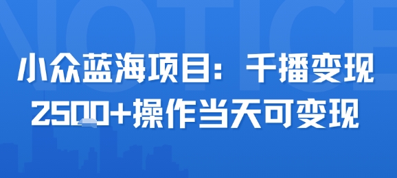 小众蓝海项目，千播变现2.5k+操作当天可变现|宝妈创业网