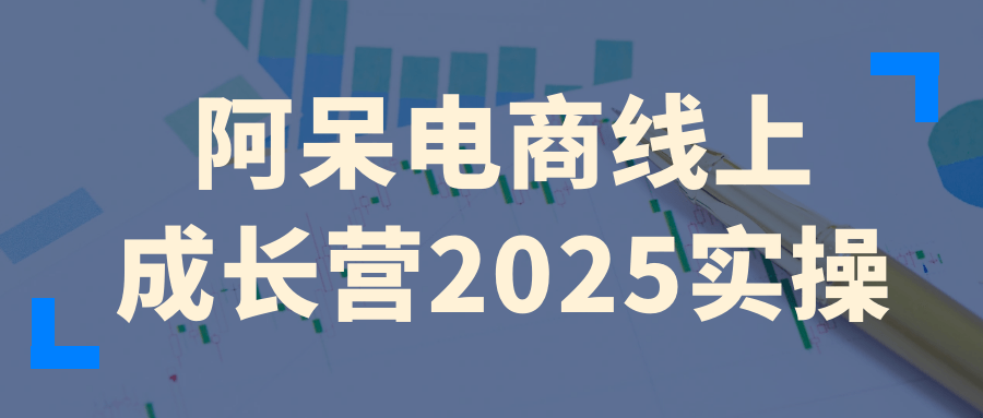 阿呆电商线上成长营2025实操|宝妈创业网