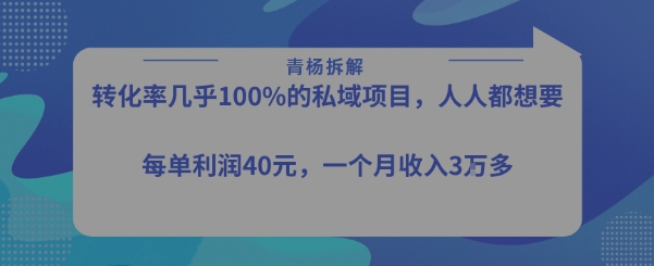 转化率最高的私域项目，每单利润40-50米，月入过1w|宝妈创业网