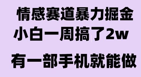 情感暴力掘金项目，新人操作一周挣了2W，长期稳定小白可做【揭秘】|宝妈创业网