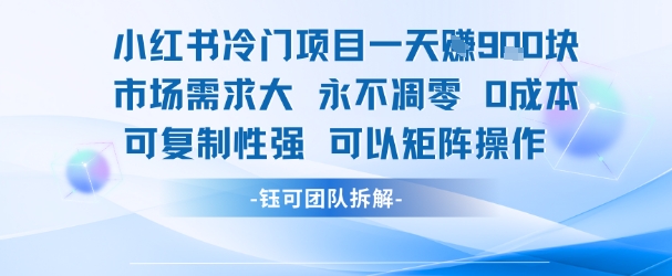 小红书冷门项目一天收益9张，市场需求大，0成本，可复制性强可以矩阵操作|宝妈创业网