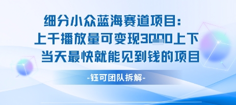 小众蓝海赛道项目：当天变现1k+适合新手操作 +适合长期玩|宝妈创业网