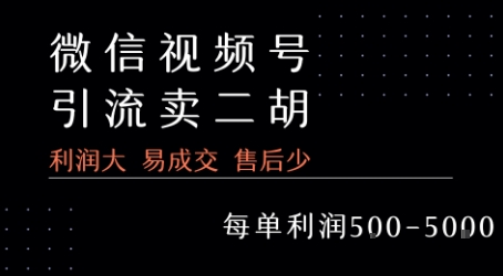 视频号卖二胡教程，利润大 易成交 售后少，一单利润5张+|宝妈创业网