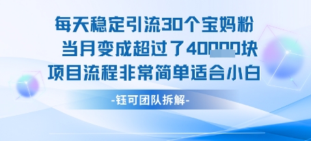 每天稳定引流30个人 当月变成超过了4个W项目流程非常简单适合小白|宝妈创业网
