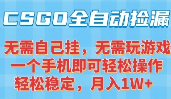 CSGO自动捡漏项目，最新独家玩法，一个手机可操作，新手小白轻松月入1W+，操作简单易上手【揭秘】|宝妈创业网