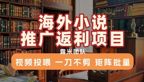 海外小说推广返利项目，视频投喂， 一刀不剪，矩阵批量|宝妈创业网