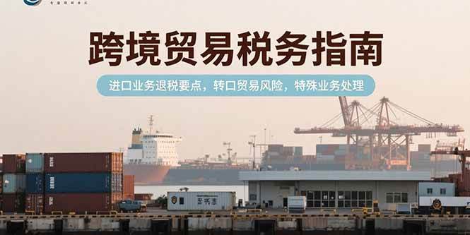 （15381期）跨境贸易税务指南，进口业务退税要点，转口贸易风险，特殊业务处理|宝妈创业网