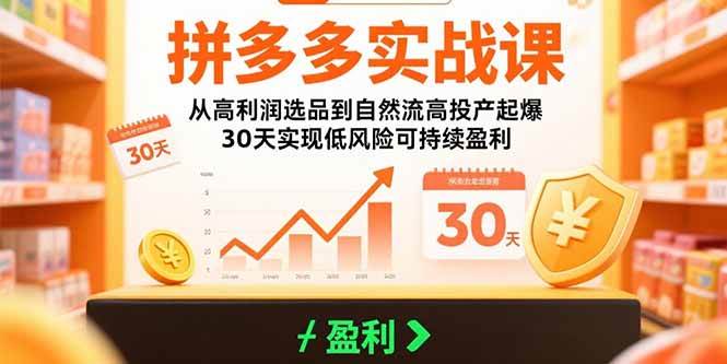 （15586期）拼多多实战课：从高利润选品到自然流高投产起爆 30天实现低风险可持续盈利|宝妈创业网