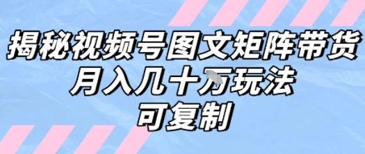 解密视频号图文矩阵带货，月入几个W的打法，可复制|宝妈创业网