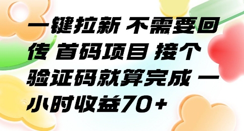 一键拉新 不需要回传 首码项目 接个验证码就算完成 一小时收益70+【揭秘】|宝妈创业网