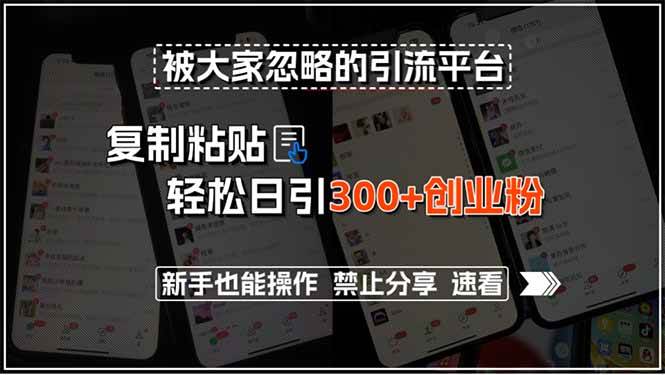 （15428期）被大家忽略的引流平台，复制粘贴轻松日引300+创业粉，新手也能操作，禁…|宝妈创业网