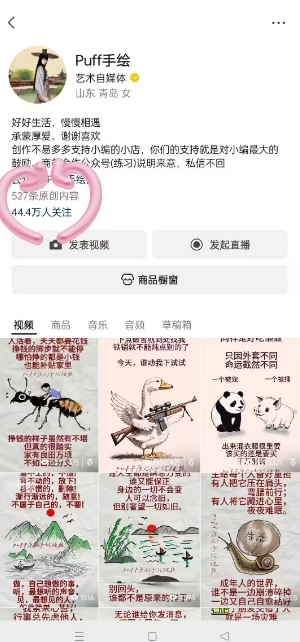 Puff手绘视频号分成项目，三天过分成计划，简单易上手，适合新手|宝妈创业网