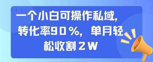 一个小白可操作私域，转化率90%，单月轻松收割2W|宝妈创业网