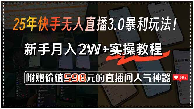 （15335期）25年快手无人直播3.0暴利玩法！，新手月入2W+实操教程，附赠价值598元…|宝妈创业网