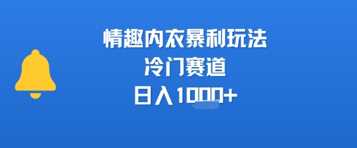 情趣内衣暴利玩法，冷门赛道，日入1k+|宝妈创业网