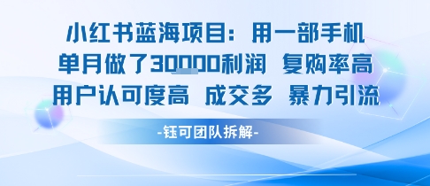 小红书蓝海项目，一部手机单月做了3W利润，小白也能月入过1W用户认可度高成交多|宝妈创业网