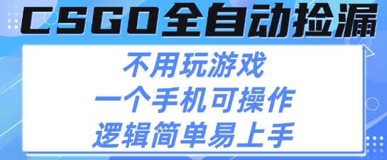CSGO自动捡漏项目，最新独家玩法，不用挂G不用玩游戏，一个手机即可操作，新手小白轻松月入1W+【揭秘】|宝妈创业网