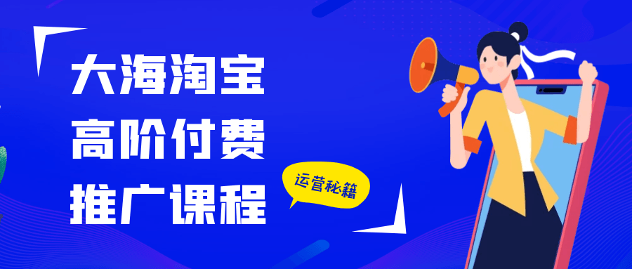 大海淘宝高阶付费推广课程|宝妈创业网