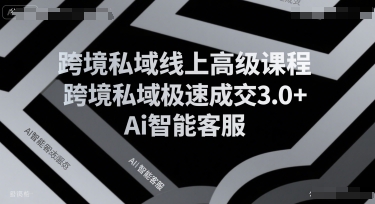 跨境私域线上高级课程，跨境私域极速成交3.0+Ai智能客服|宝妈创业网