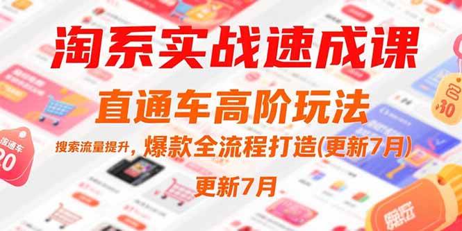 （15374期）淘系实战速成课，直通车高阶玩法，搜索流量提升，爆款全流程打造(更新7月)|宝妈创业网