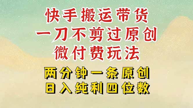 （15577期）快手黑科技搬运带货，一刀不剪过原创，微付费投流玩法，轻松日入四位数…|宝妈创业网